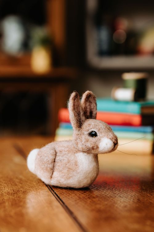 CKC Needle Felting Kits