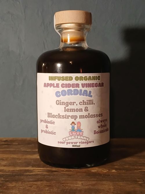 Ginger, Chilli & Lemon 'switchel'