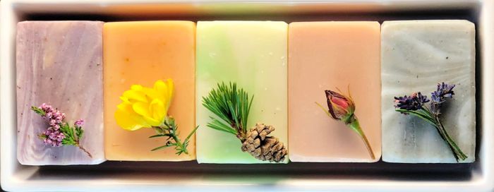 Scottish Botanical Soaps