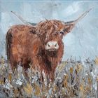 'Caledonian' Show Bundle