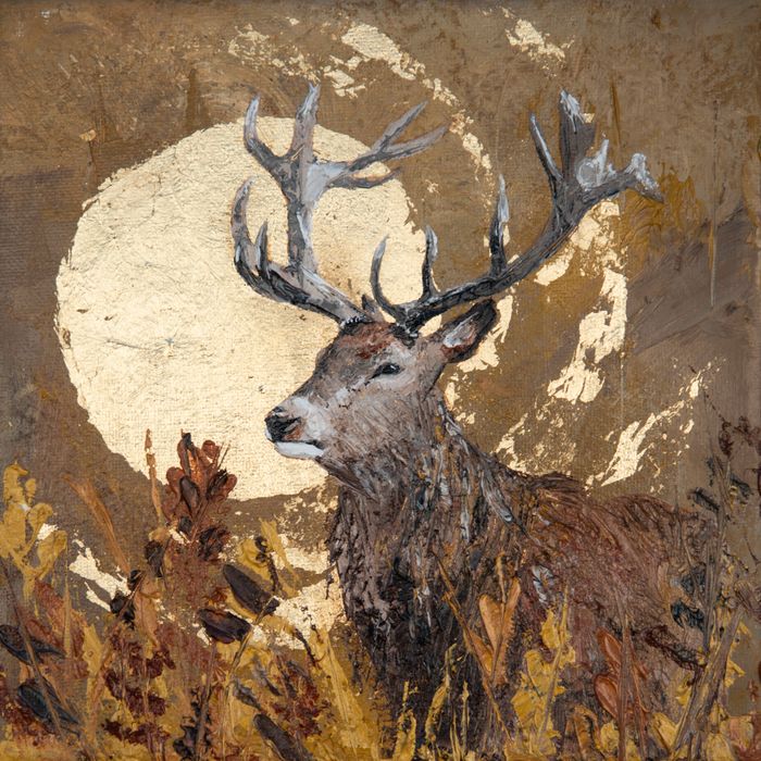 'Caledonian' Show Bundle