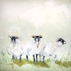 'Gentle Souls' Show Bundle