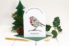 Poinsettia Christmas Robin Range