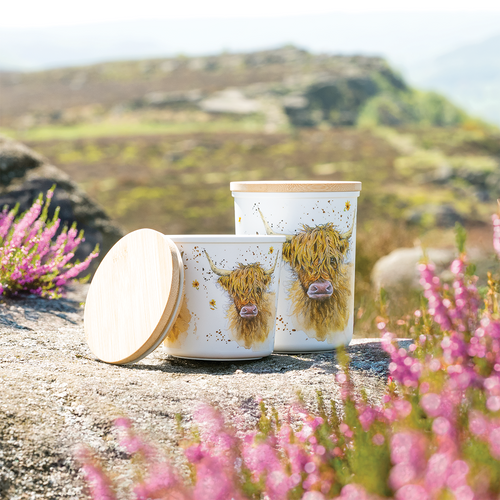 Scottish Souvenirs & Highland Cow