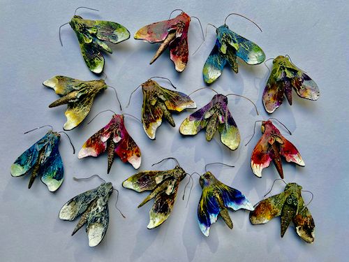 Hawk Moth Brooches