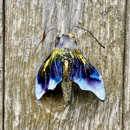 Hawk Moth Brooches