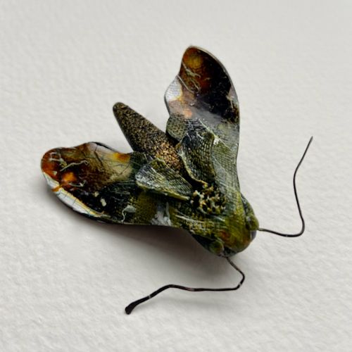 Hawk Moth Brooches
