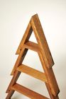 Tree shelf