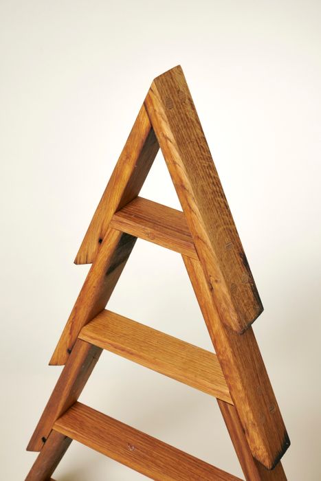 Tree shelf