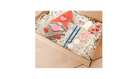 DIY Painting Kits