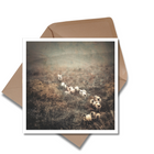 Scottish Landscape Greeting Cards
