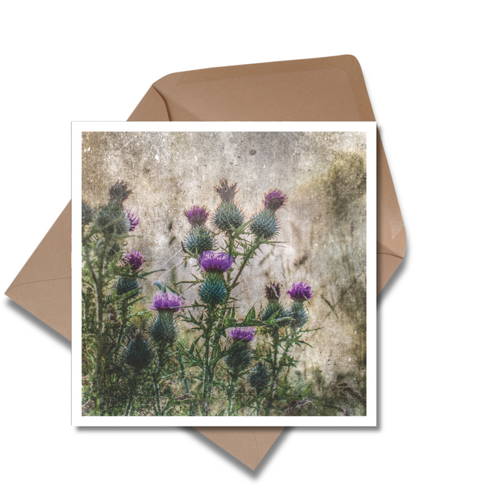 Scottish Landscape Greeting Cards