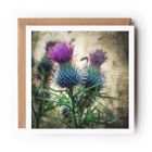 Scottish Landscape Greeting Cards