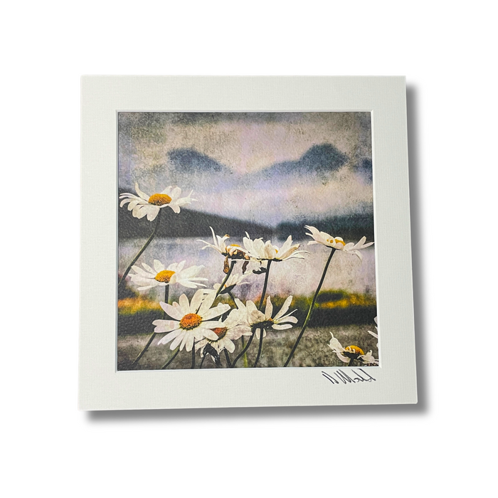 Art Prints