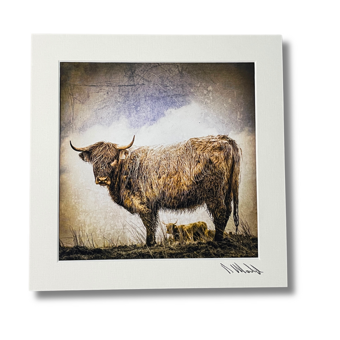 Art Prints