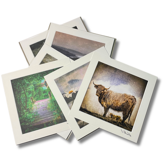 Art Prints