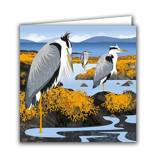 Heron in the Hebrides