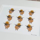 Highland Cows hand finished print
