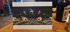 Fulmars in a Midnight Sky card