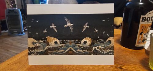 Fulmars in a Midnight Sky card