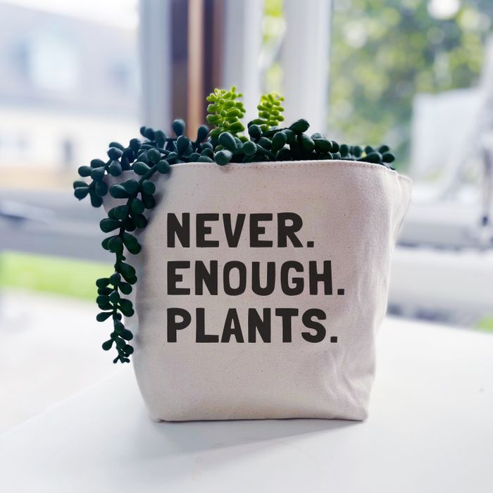 *Brand New Plant Pot Covers!