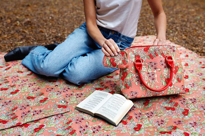 Signare & Claire Louise Wild Strawberry Licensing Range