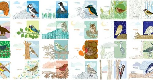 Greetings Cards