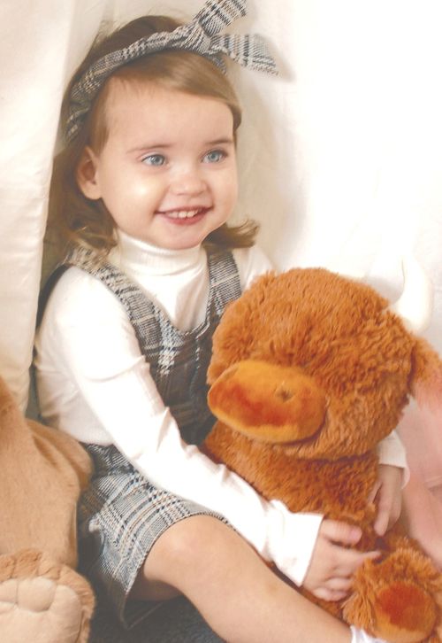 We love Highland Cows at Jomanda