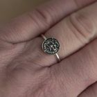Heirloom Charm Collection - The Lion