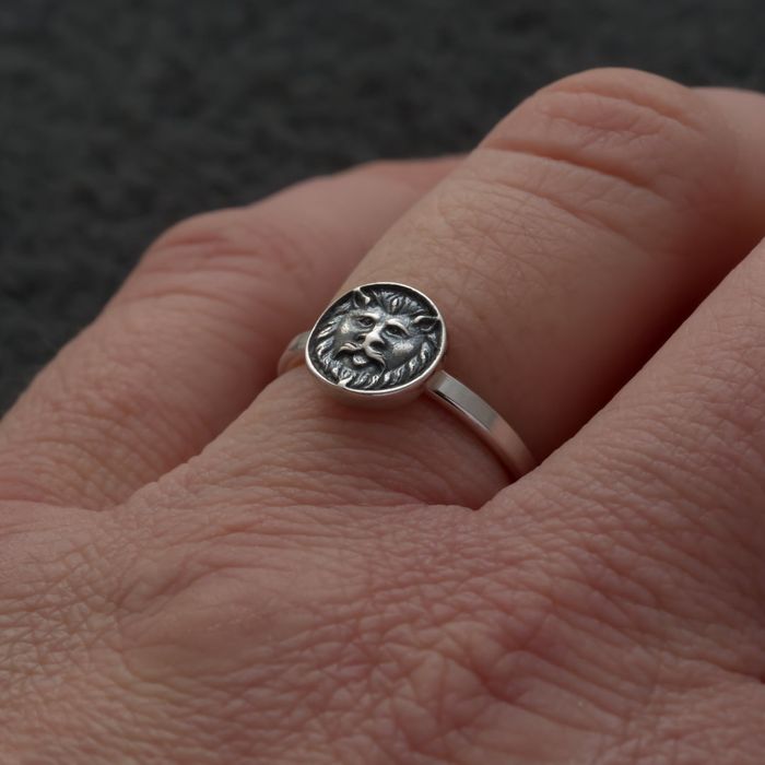 Heirloom Charm Collection - The Lion