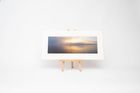 Mounted Prints