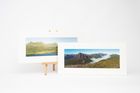 Mounted Prints