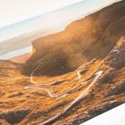 Fine Art Prints
