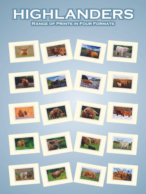 PLAYING CARDS - PRINTS