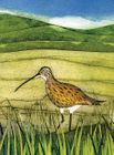 Wild Birds Notebooks