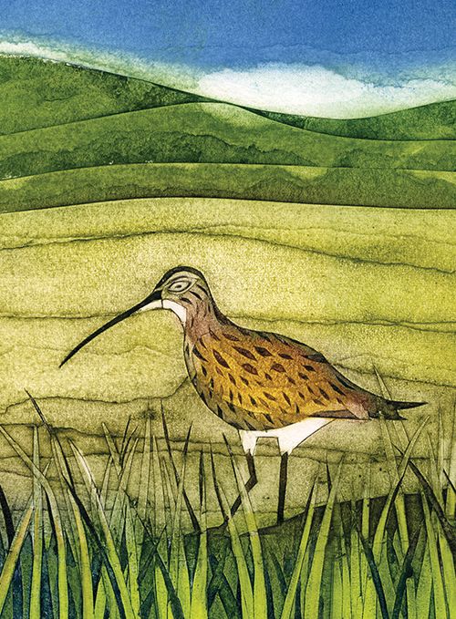Wild Birds Notebooks