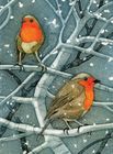 Wild Birds Notebooks