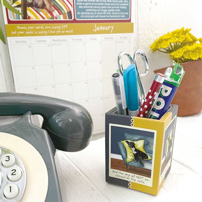 Desk Tidy Pen Pots