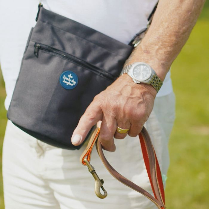 Dog Walking Bags