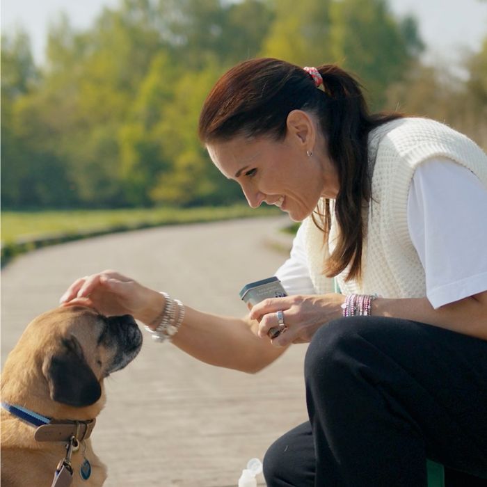 Walkies  Dog Treat Tins