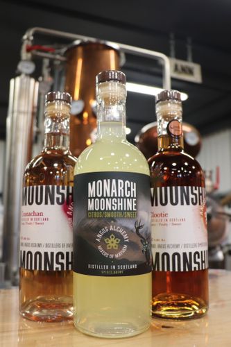 Monarch Moonshine