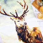 'WILDLIFE OF SCOTLAND' Collection 2025