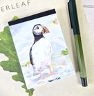 'WILDLIFE OF SCOTLAND' Collection 2025