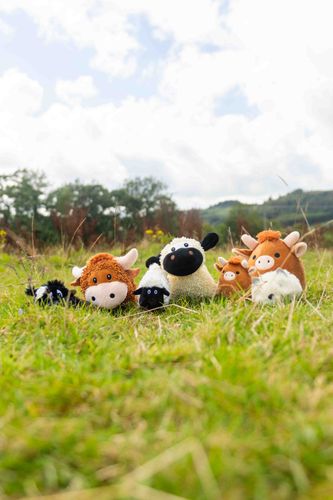 Soft Toys