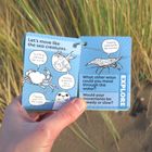 COASTAL Outdoor Play Cards