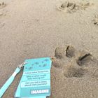 COASTAL Outdoor Play Cards