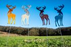 BRAND NEW AluminArt Collection