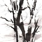 Cairngorm Ink Trees Collection
