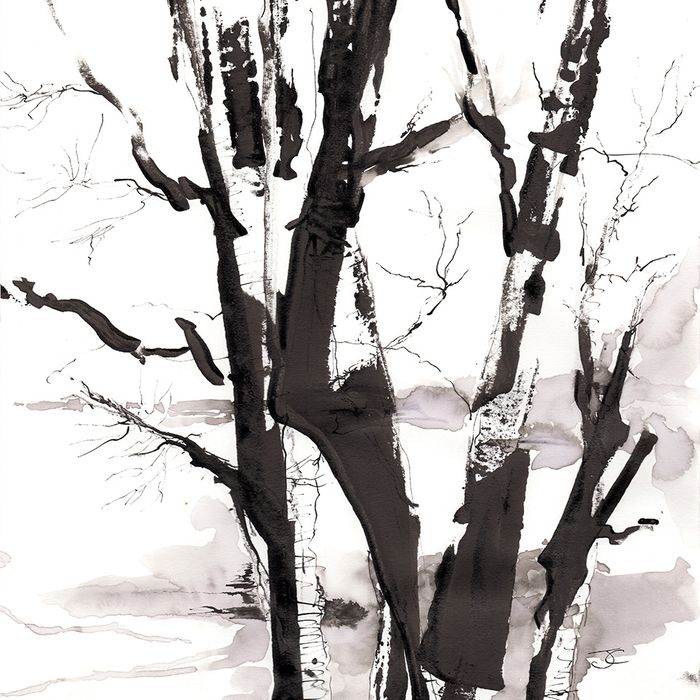 Cairngorm Ink Trees Collection
