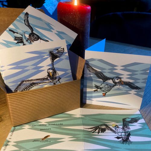 Incoming Seabirds Notecard Box
